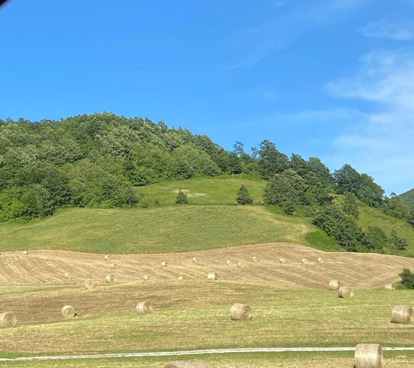 Photo of Others in Bruscoli