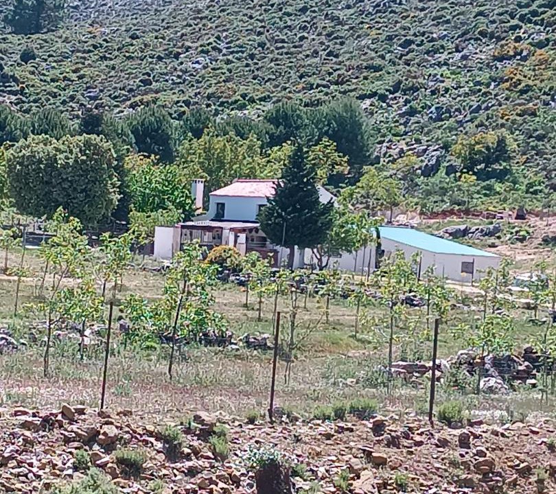 Photo of Others in Igualeja