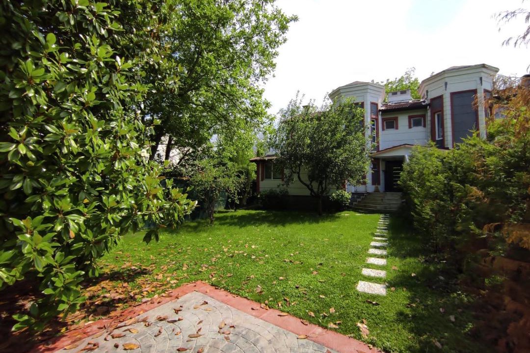 Photo of Others in Yanik