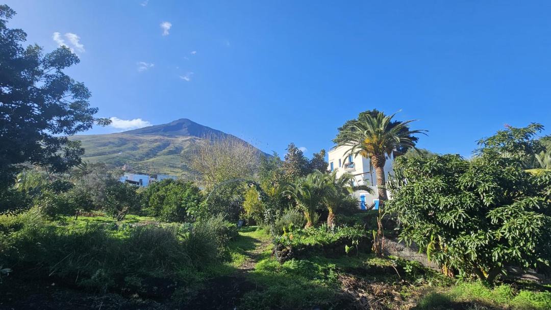 Photo of Others in Stromboli