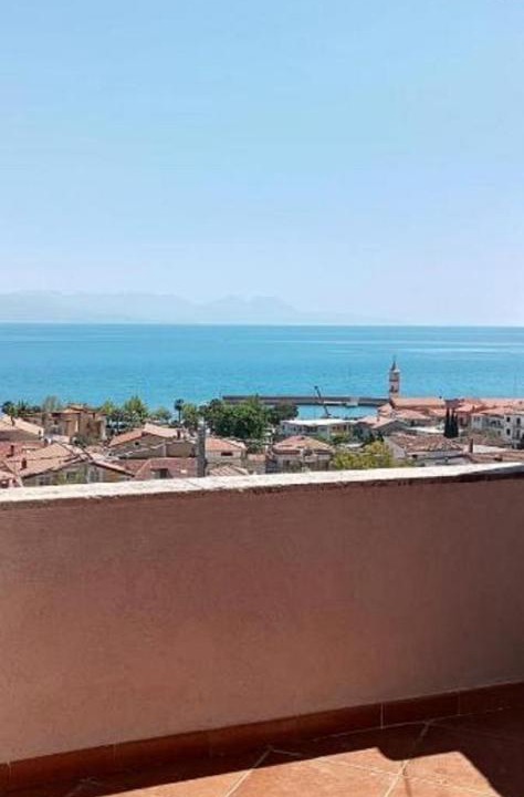 Photo of Others in Scario