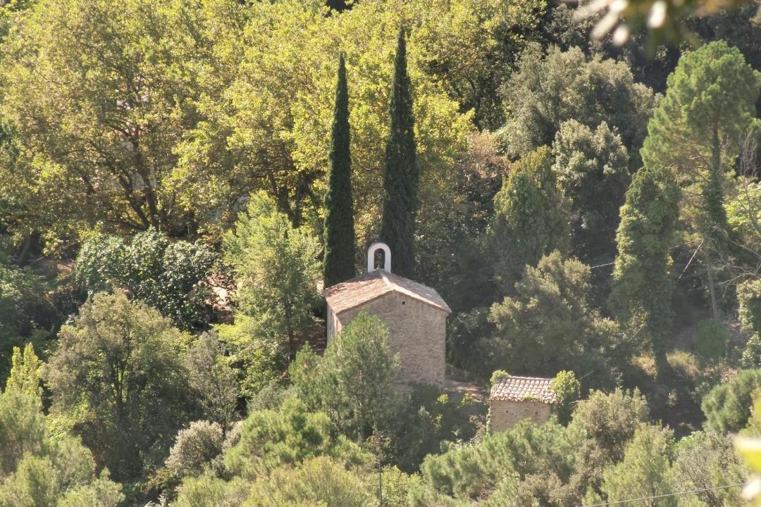 Photo of Others in Alfara de Carles