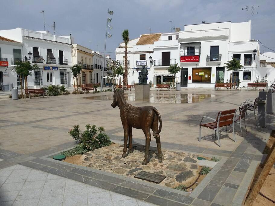 Photo of Others in Moguer