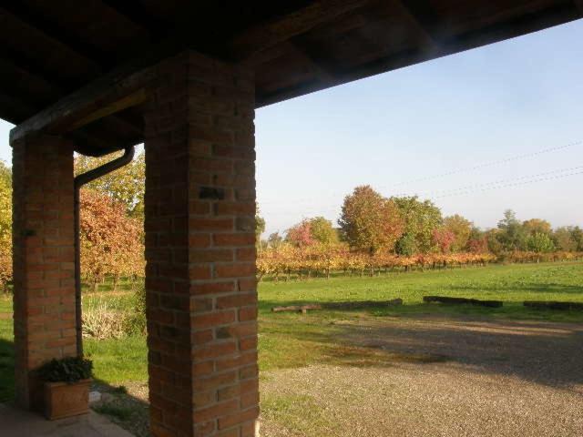 Photo of Others in Scandiano