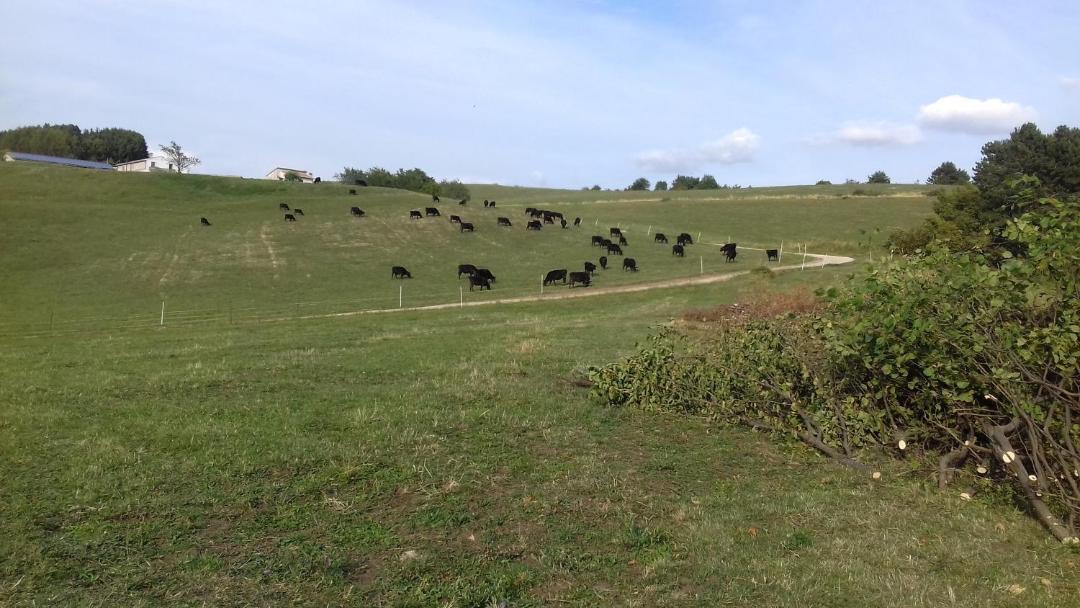 Photo of Others in Ferrara di Monte Baldo