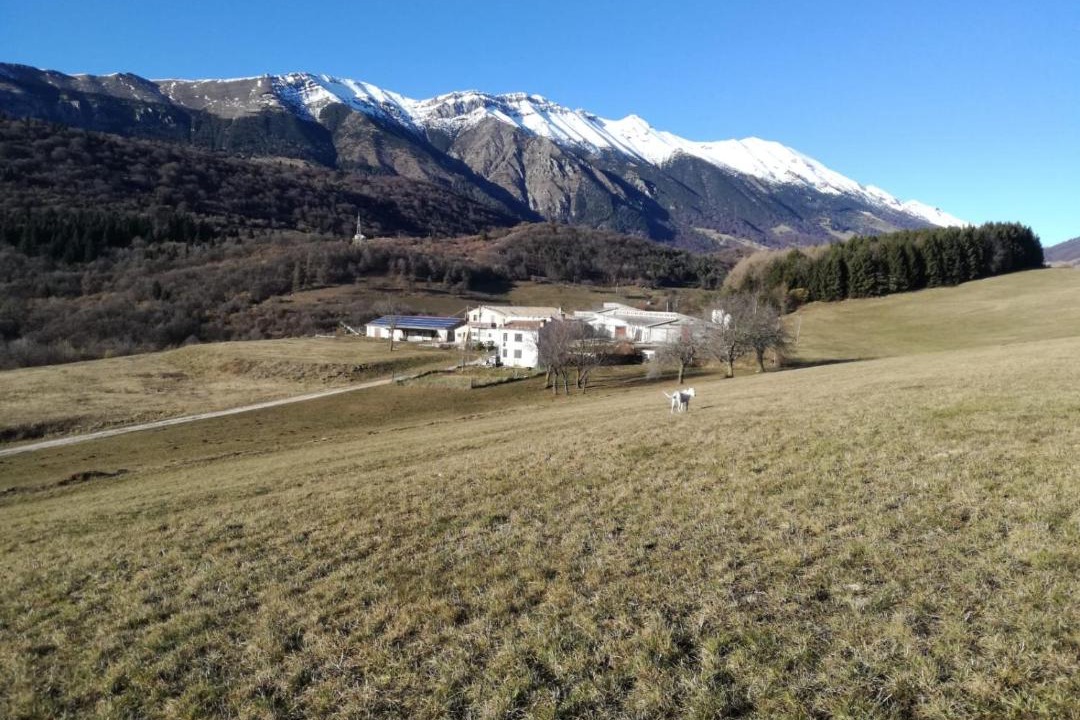 Photo of Others in Ferrara di Monte Baldo