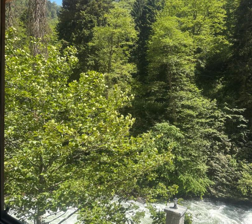 Photo of Others in Ayder Yaylasi