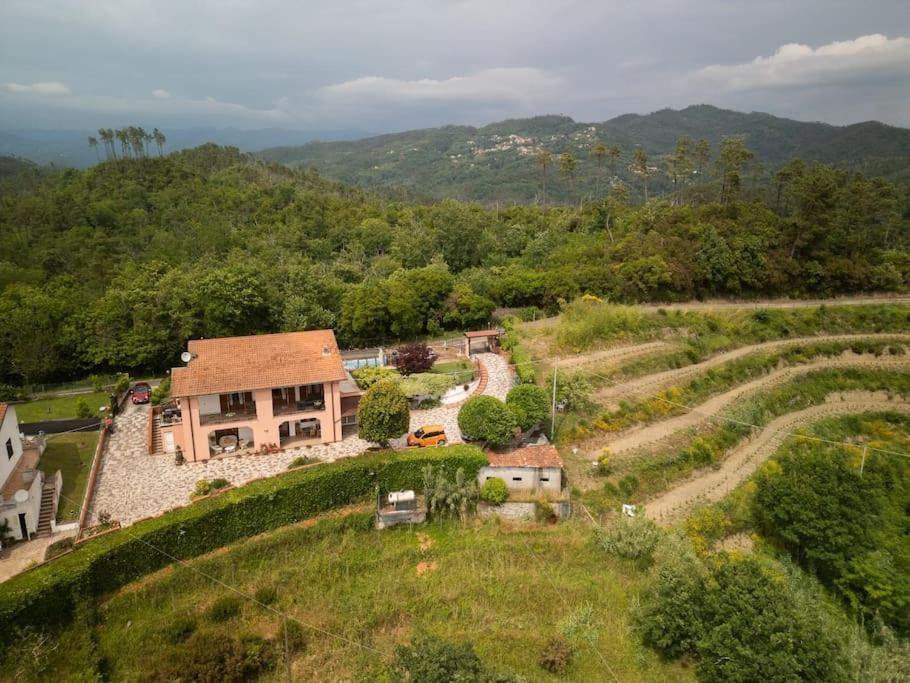 Photo of Others in Ricco del Golfo di Spezia