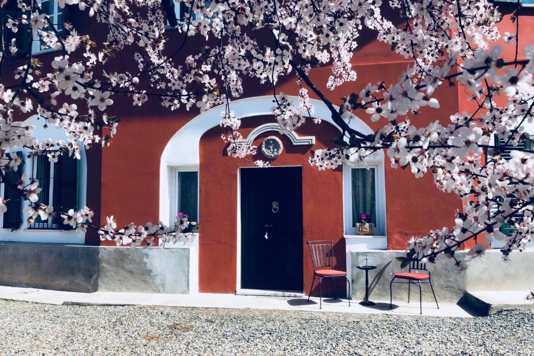 Photo of Others in Novi Ligure