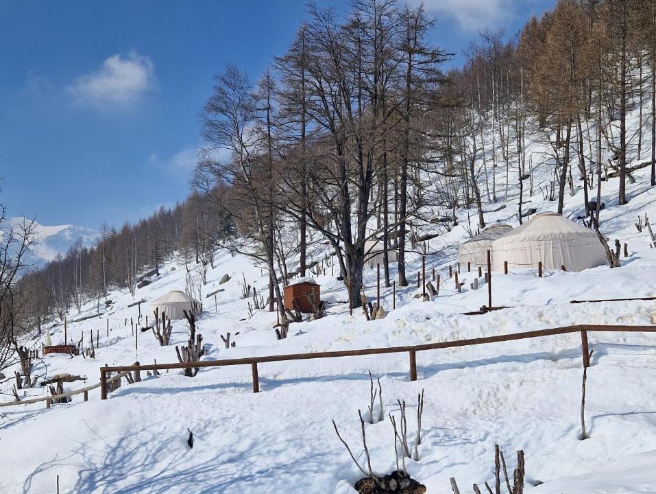 Photo of Others in Ostana