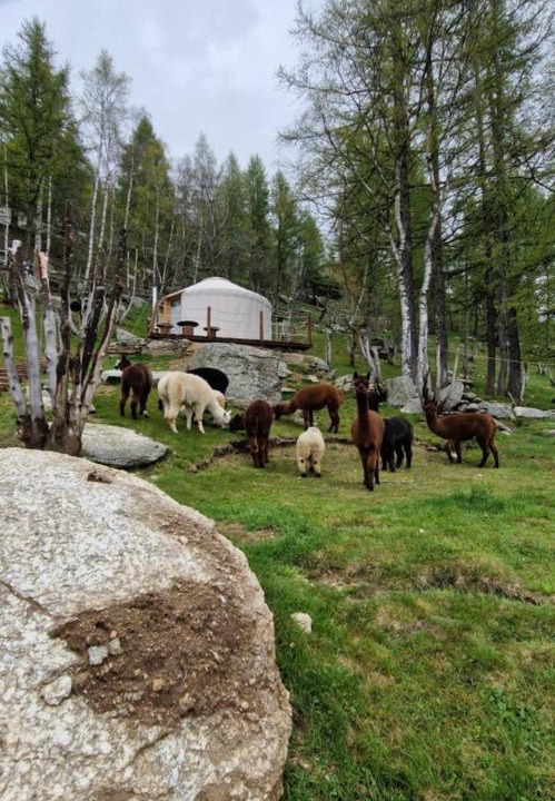 Photo of Others in Ostana