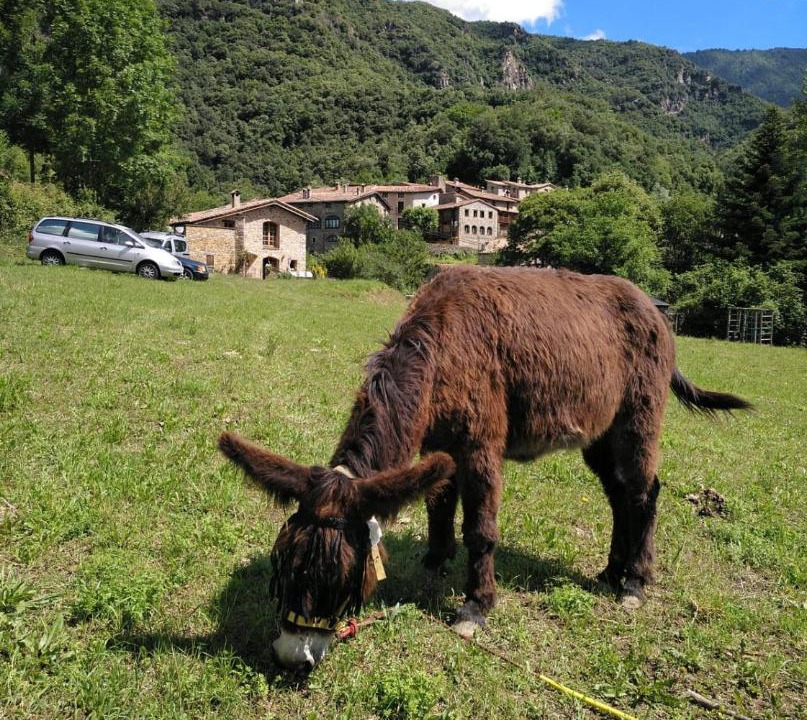 Photo of Others in Beget