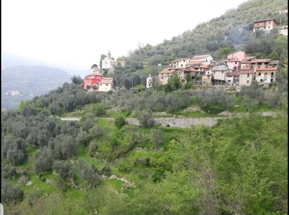 Photo of Others in Menegu