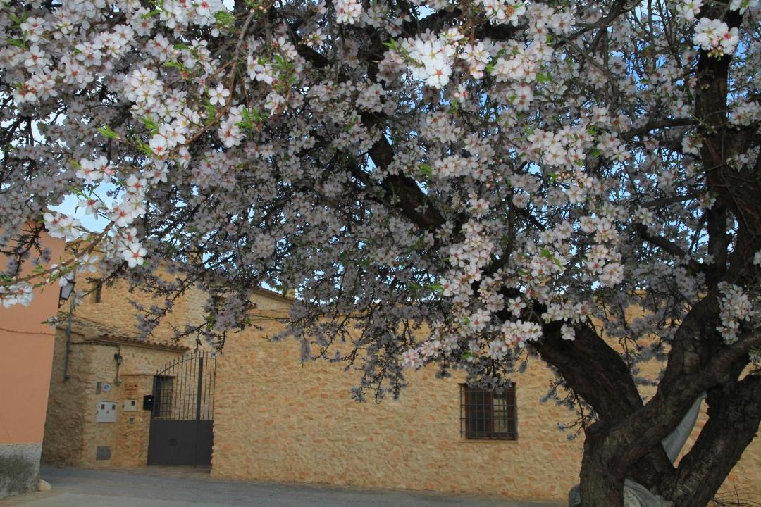 Photo of Others in Gebas