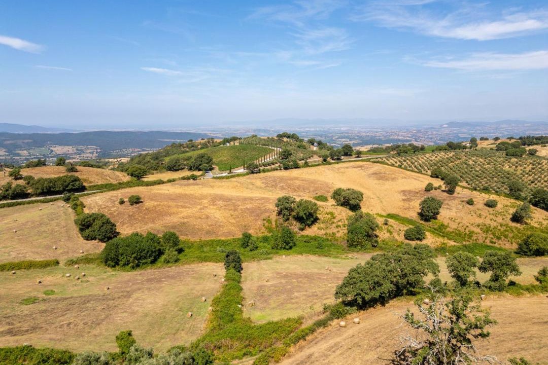 Photo of Others in Scansano