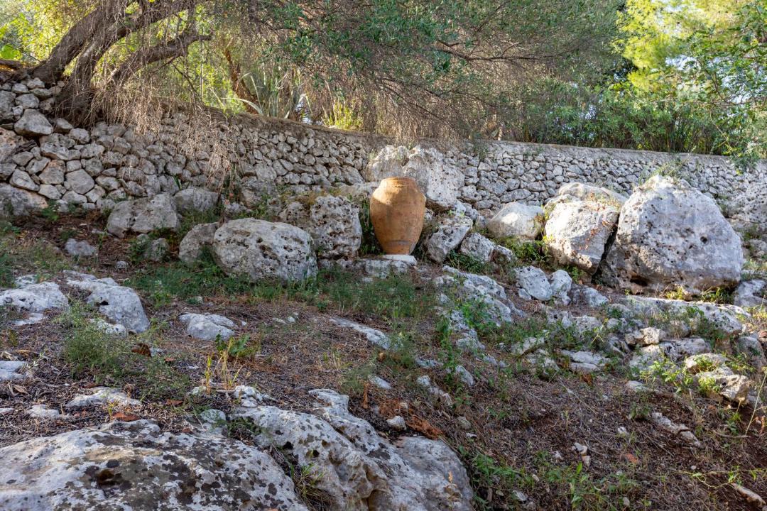 Photo of Others in Belvedere
