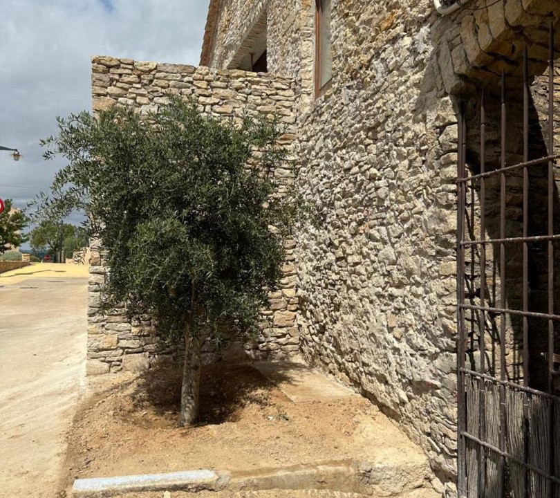 Photo of Buildings in Palau-Sator