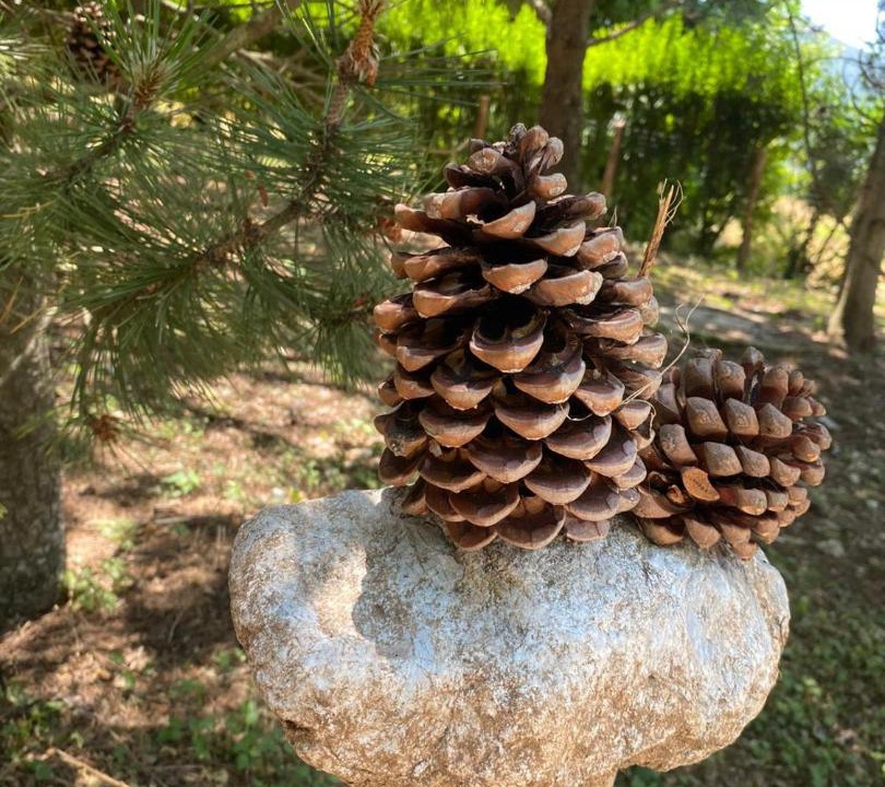 Photo of Outdoor in Morano Calabro