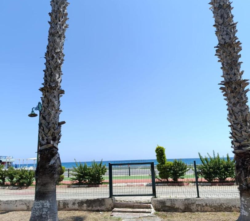 Photo of Others in Artikli