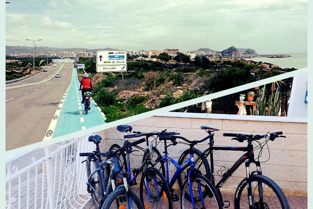 Photo of Others in Calabardina