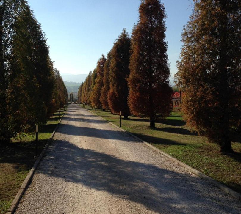 Photo of Others in Castelvetro di Modena