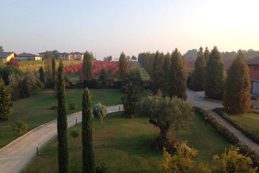 Photo of Others in Castelvetro di Modena
