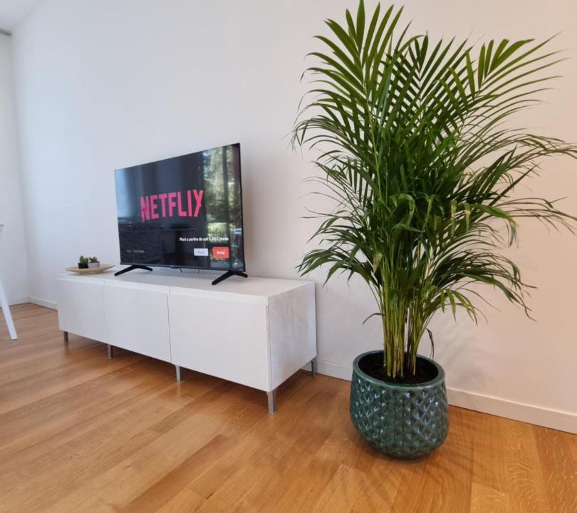 Photo of Livingroom in Forlanini