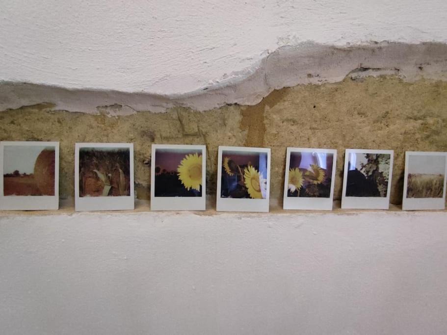 Photo of Others in Conzano