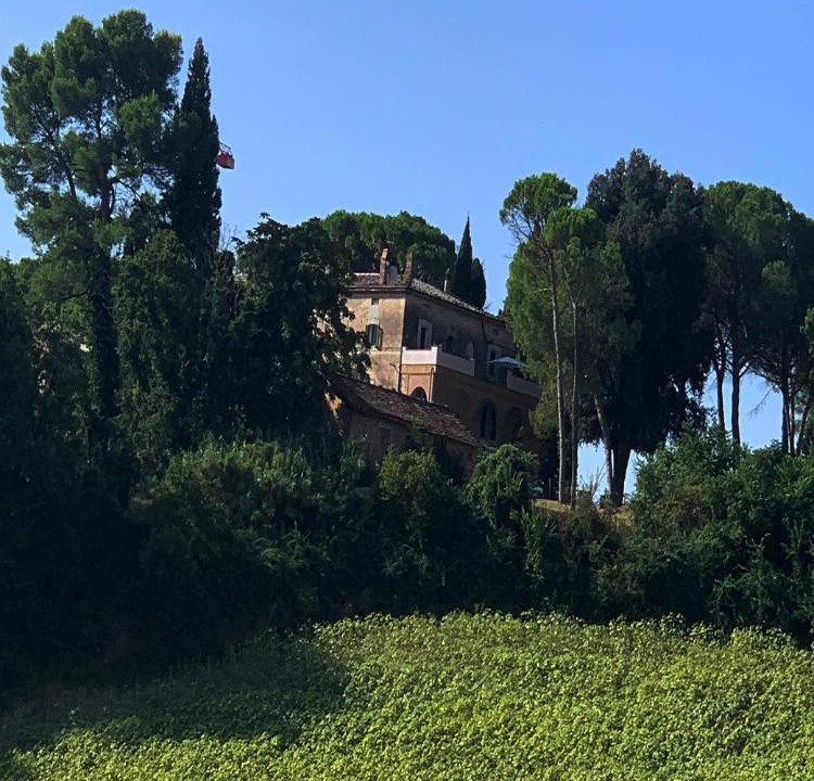 Photo of Others in Todi