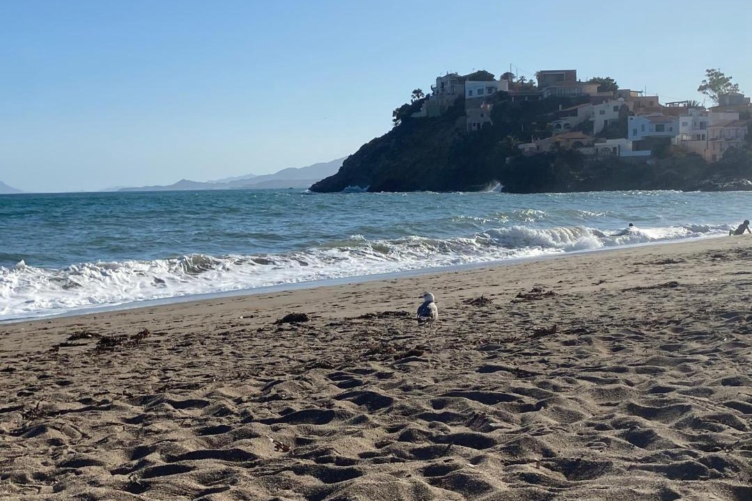 Photo of Others in Bolnuevo