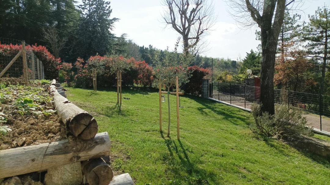 Photo of Others in Pianoro