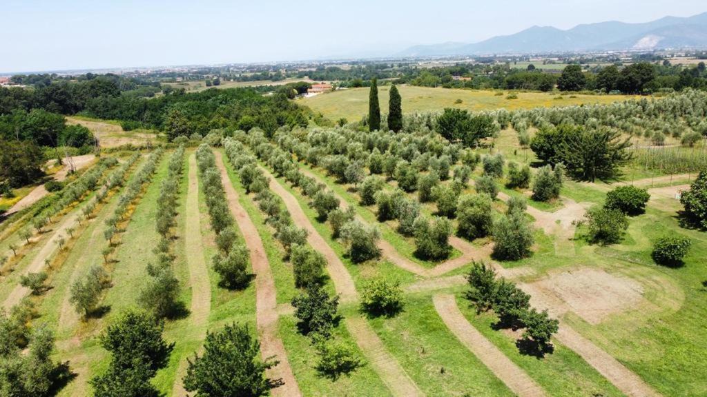 Photo of Others in Fauglia