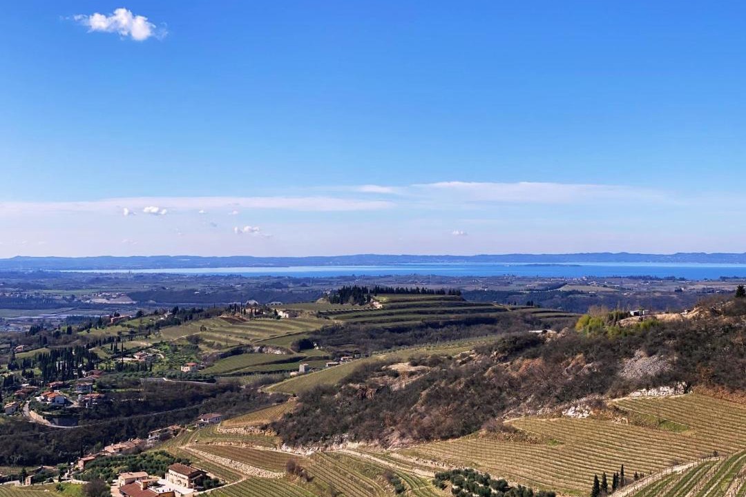 Photo of Others in Sant'Ambrogio di Valpolicella