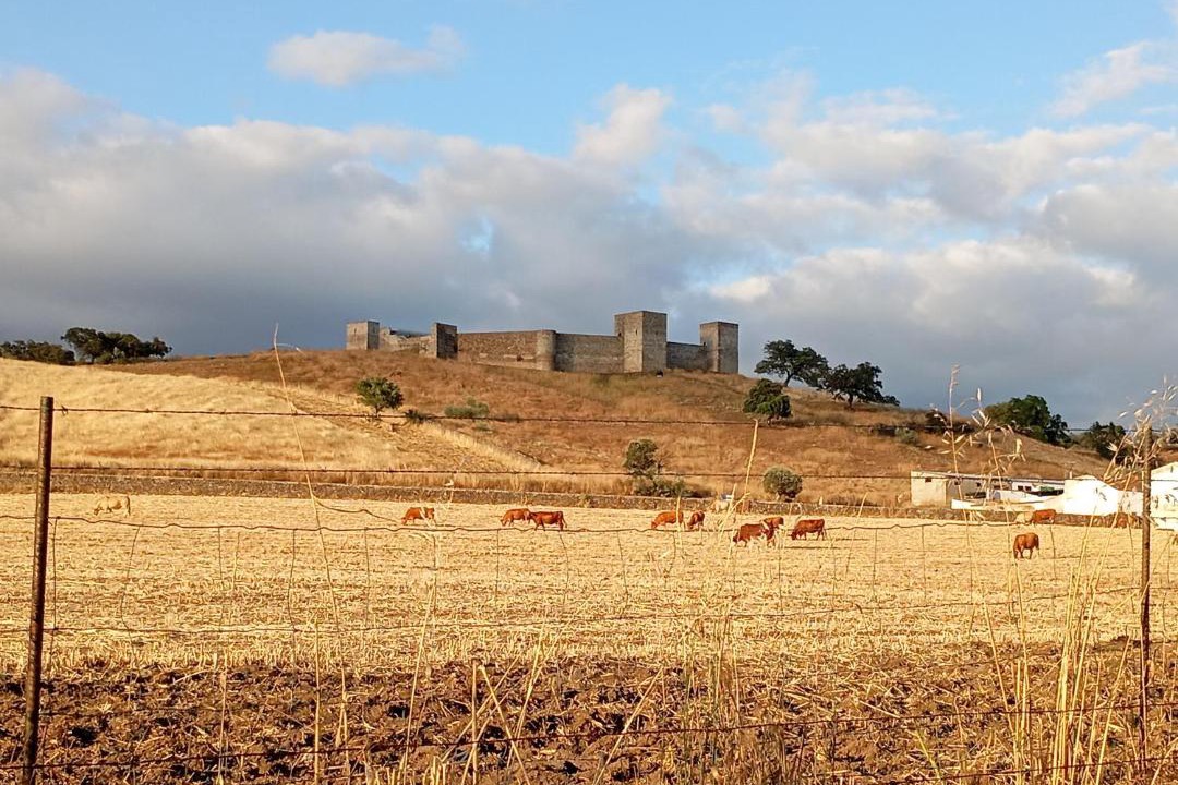 Photo of Others in El Real de la Jara