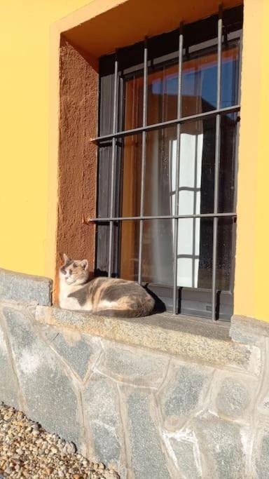 Photo of Others in Luserna San Giovanni