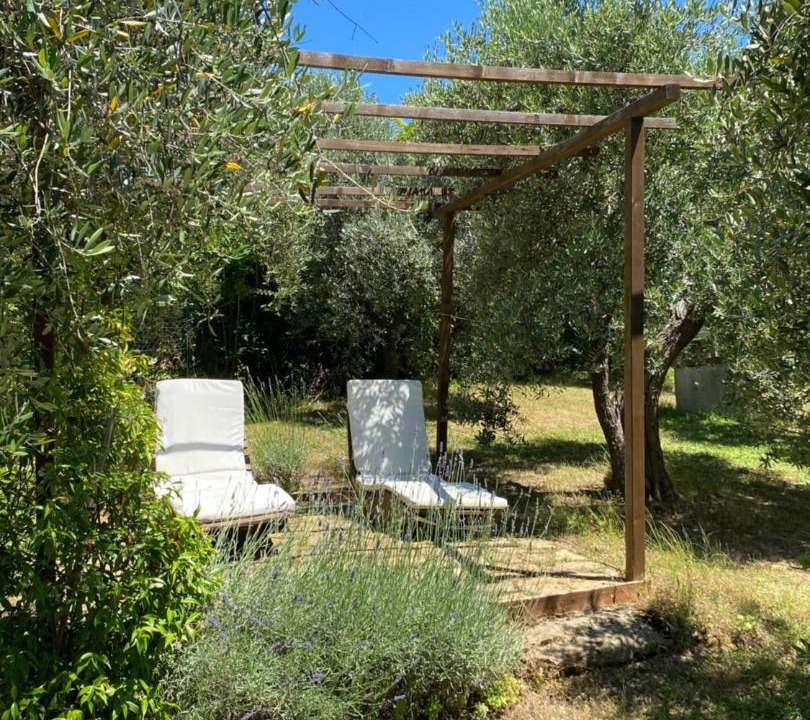 Photo of Others in Poggibonsi