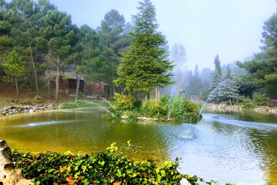 Photo of Others in Villaverde de Guadalimar
