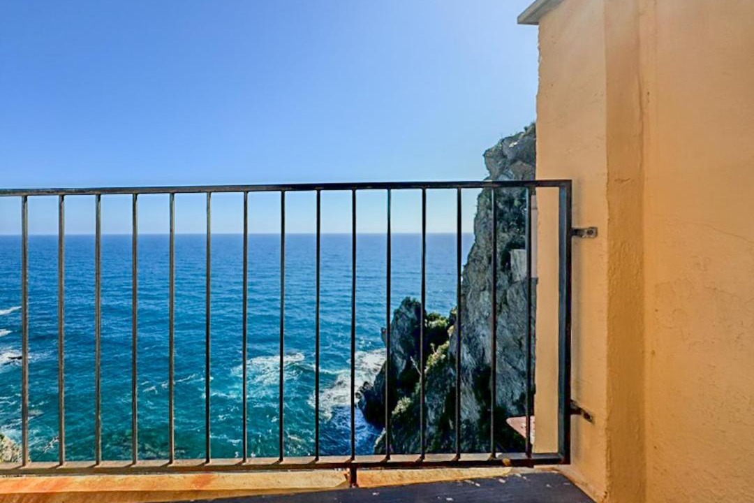 Photo of Others in Manarola