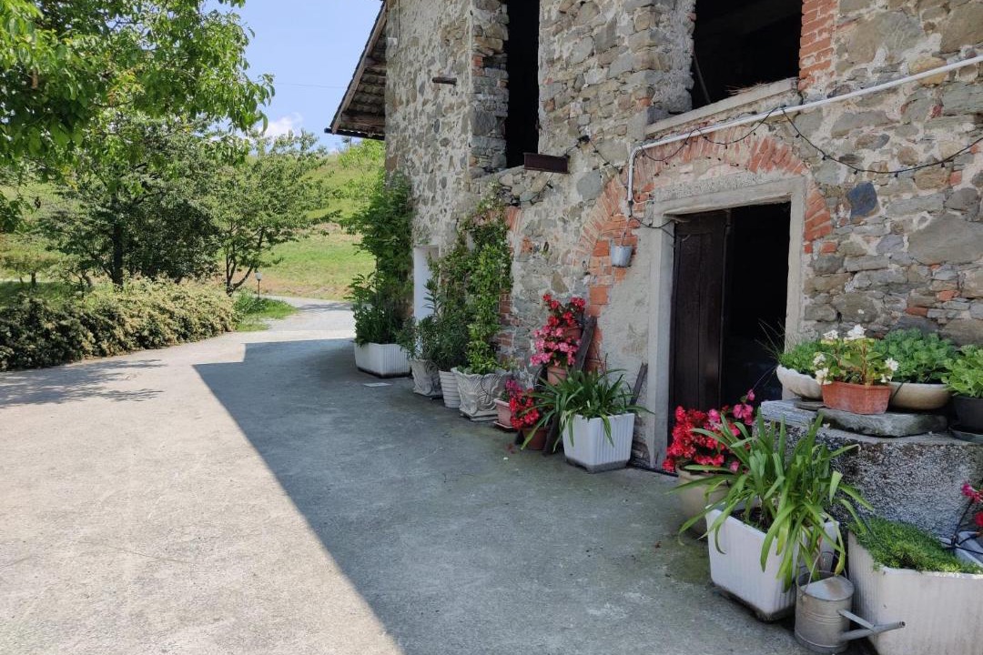 Photo of Others in Mioglia
