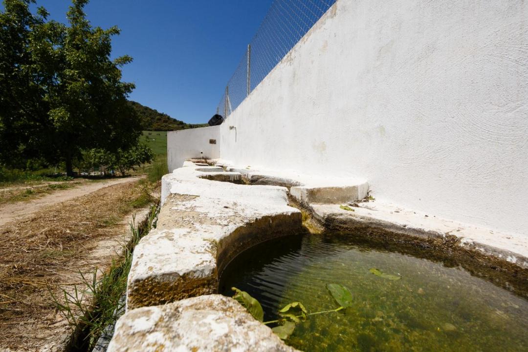 Photo of Others in Alhama de Granada