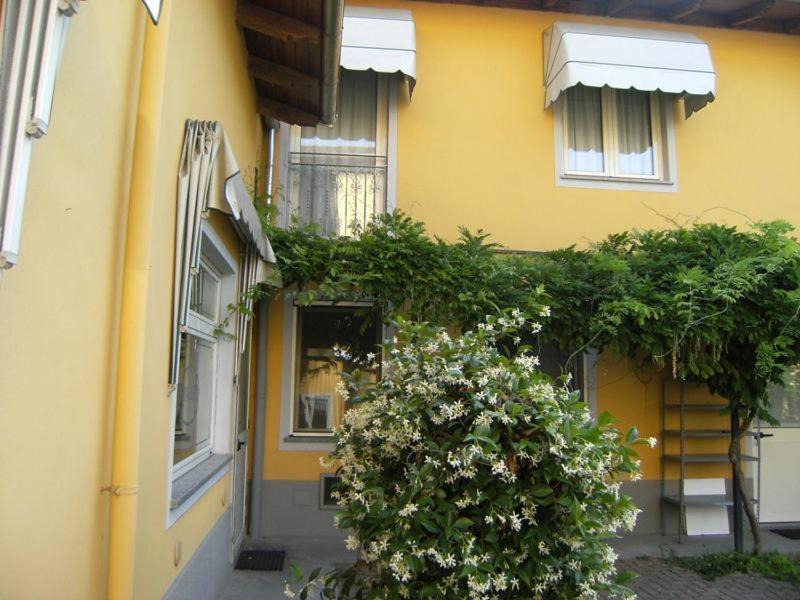 Photo of Buildings in Cassine