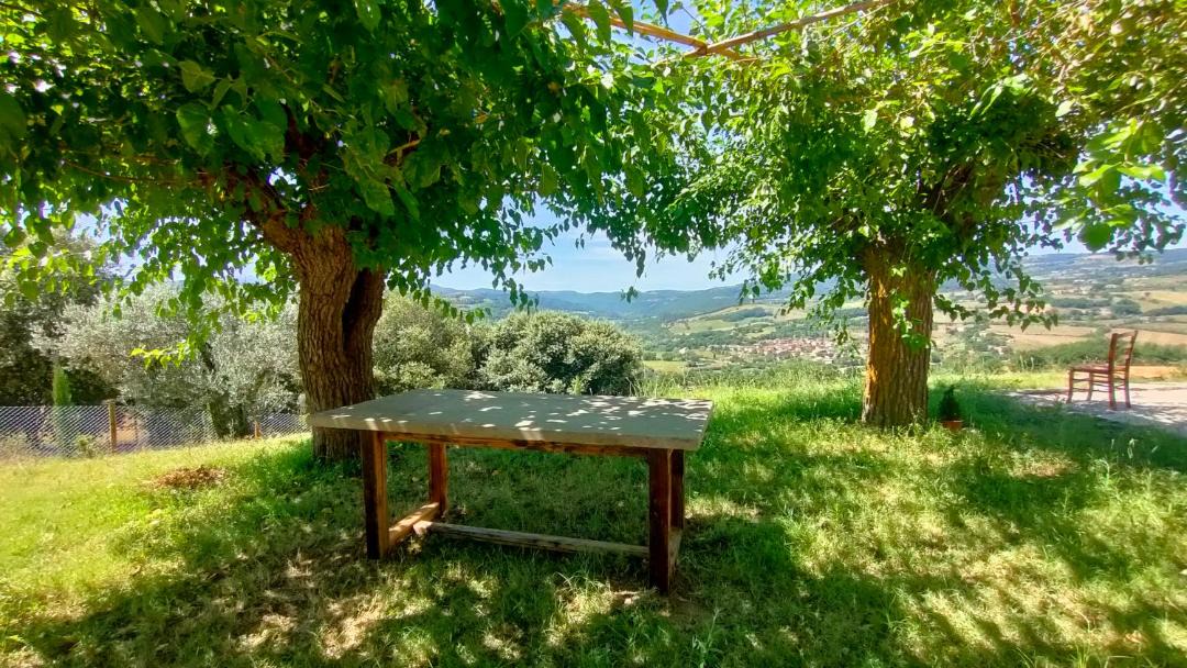 Photo of Others in Todi