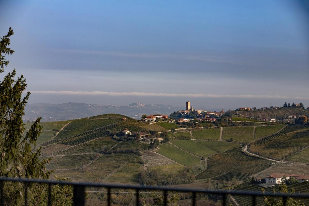 Photo of Others in Barbaresco