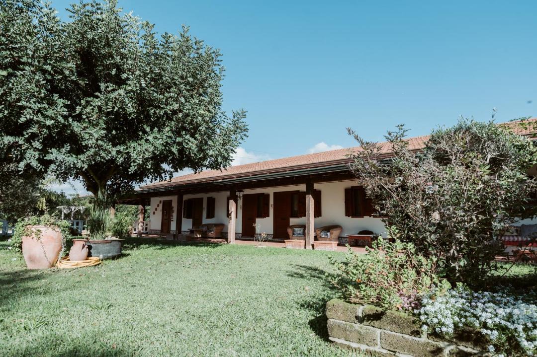 Photo of Others in Pontinia