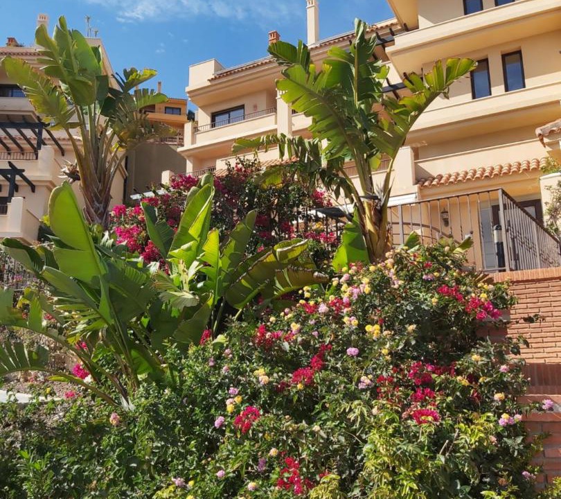 Photo of Buildings in Aguilas