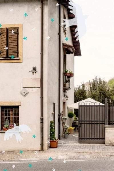 Photo of Others in Monte Porzio Catone