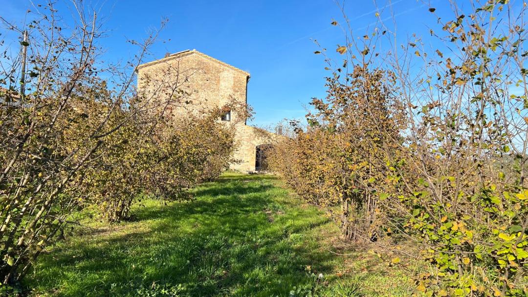 Photo of Others in Tivissa