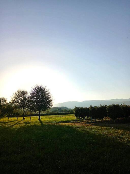 Photo of Outdoor in Pederobba