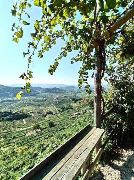 Photo of Outdoor in Pederobba