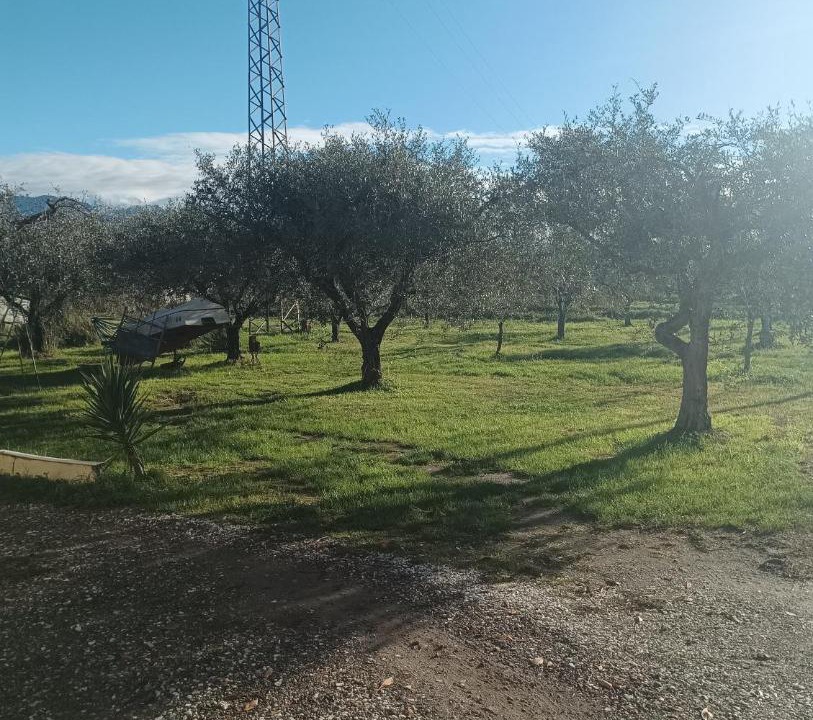 Photo of Outdoor in Arcola